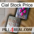 Cial Stock Price 38